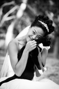 cat_bride_Lovelight_photo